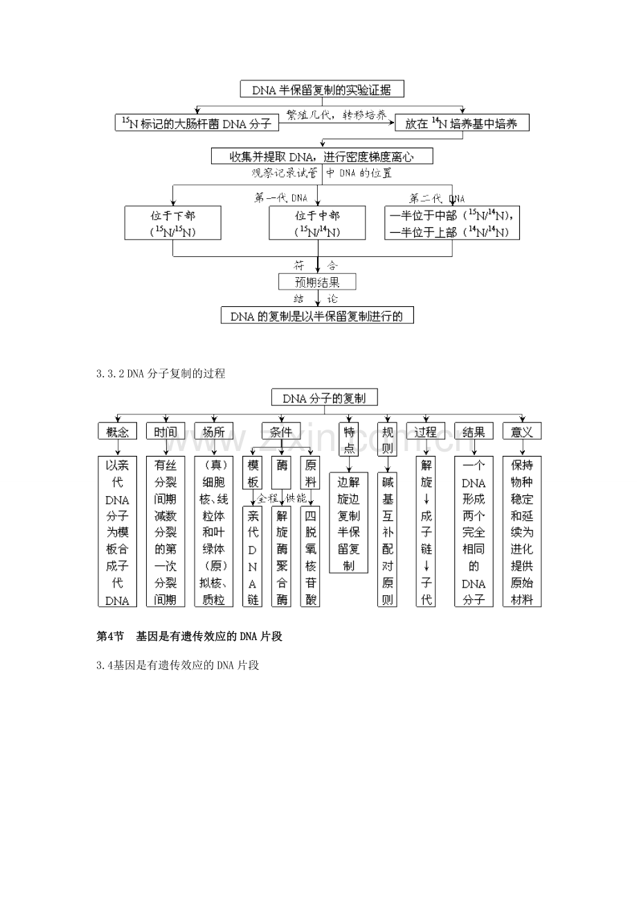 必修二概念图汇编.doc_第3页