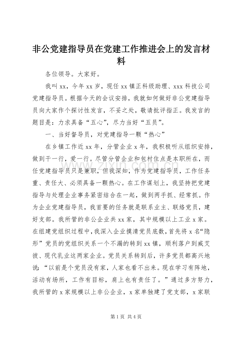 非公党建指导员在党建工作推进会上的发言材料.docx_第1页