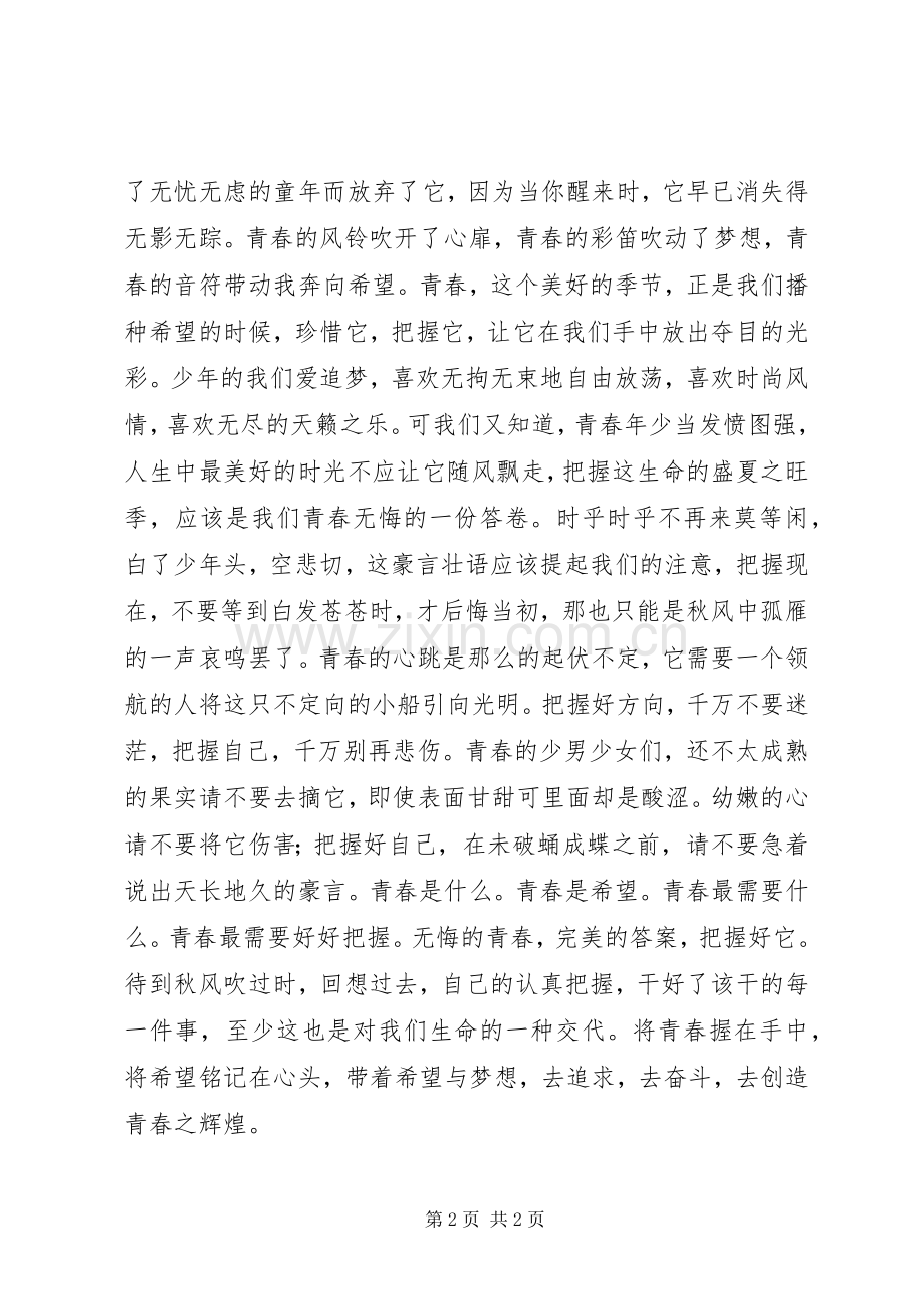 以青春为话题的演讲稿[范文] (2).docx_第2页