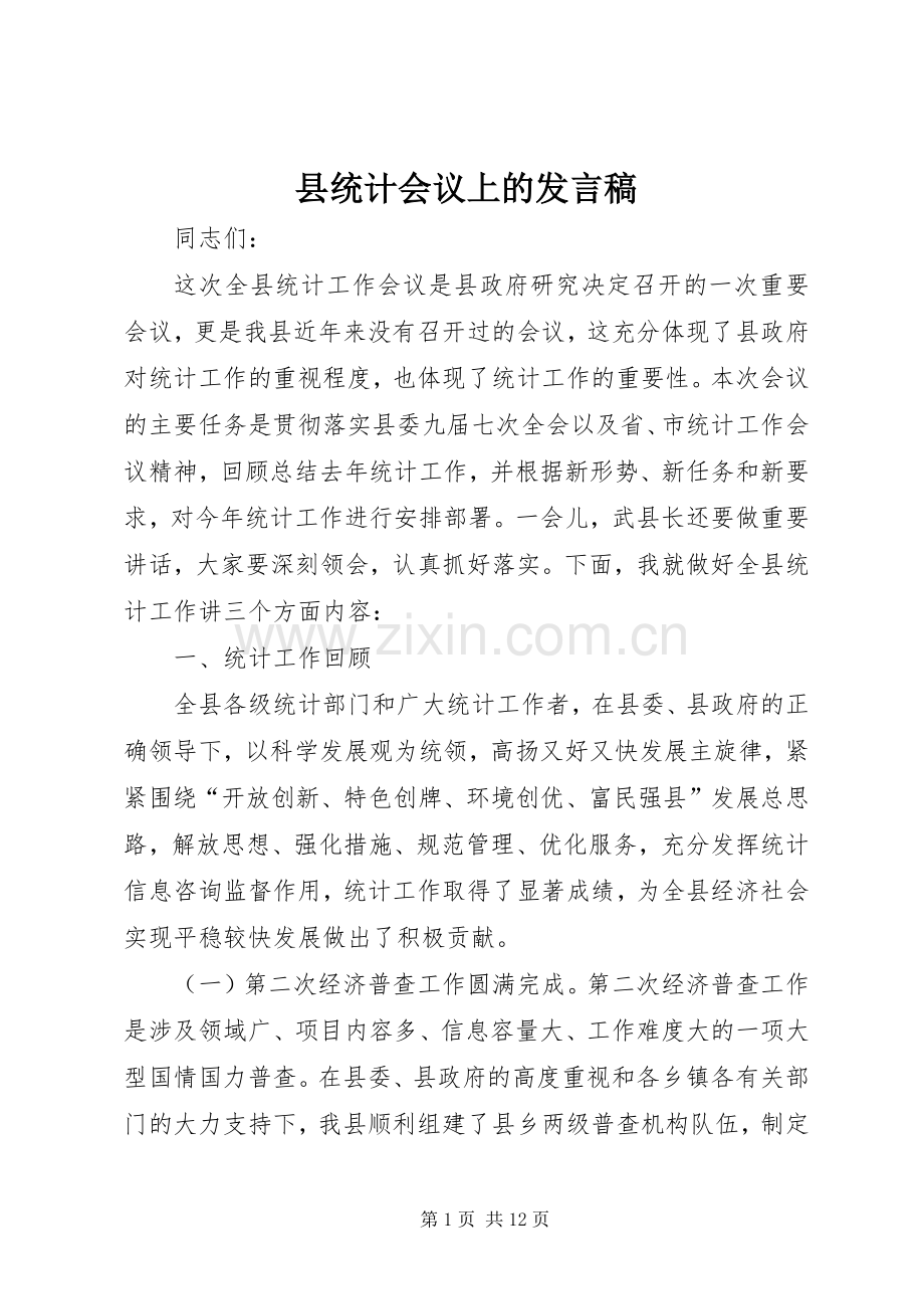 县统计会议上的发言.docx_第1页