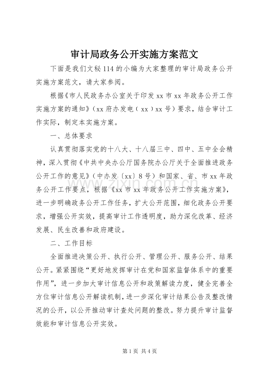 审计局政务公开方案范文 .docx_第1页