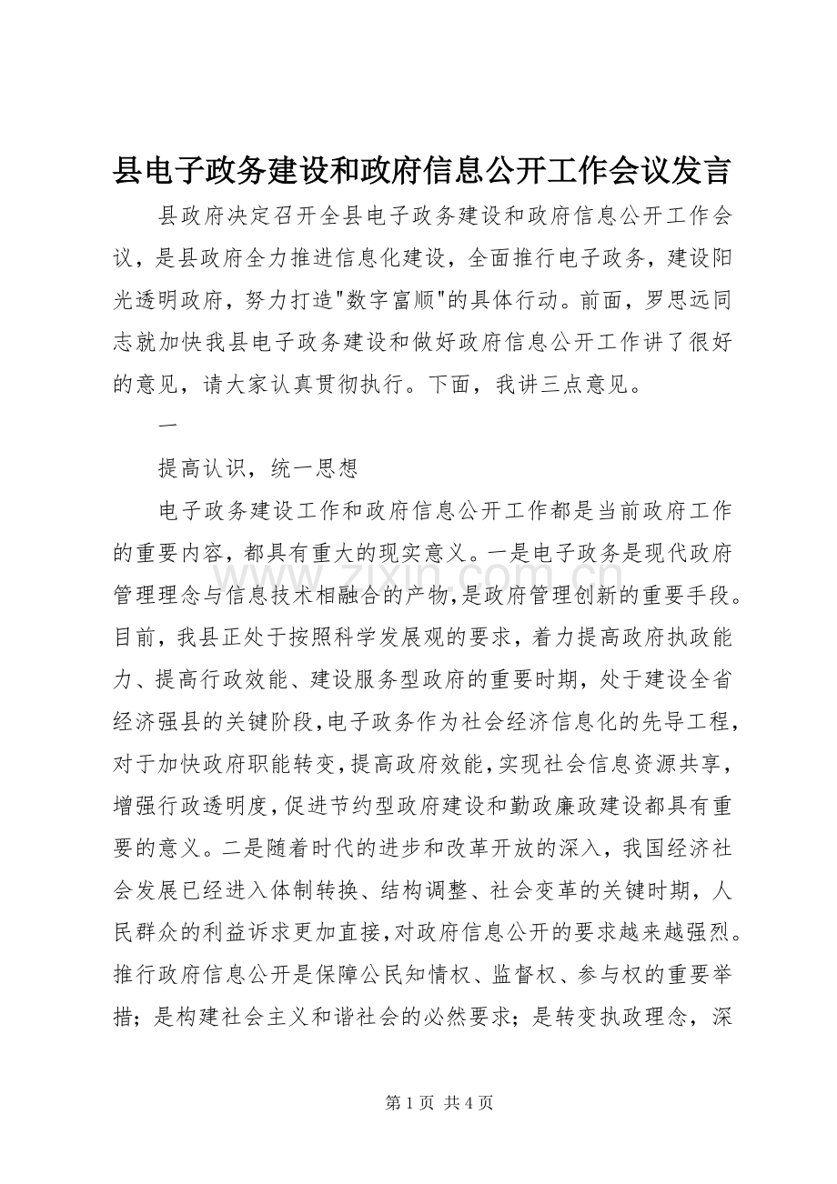 县电子政务建设和政府信息公开工作会议发言稿.docx_第1页