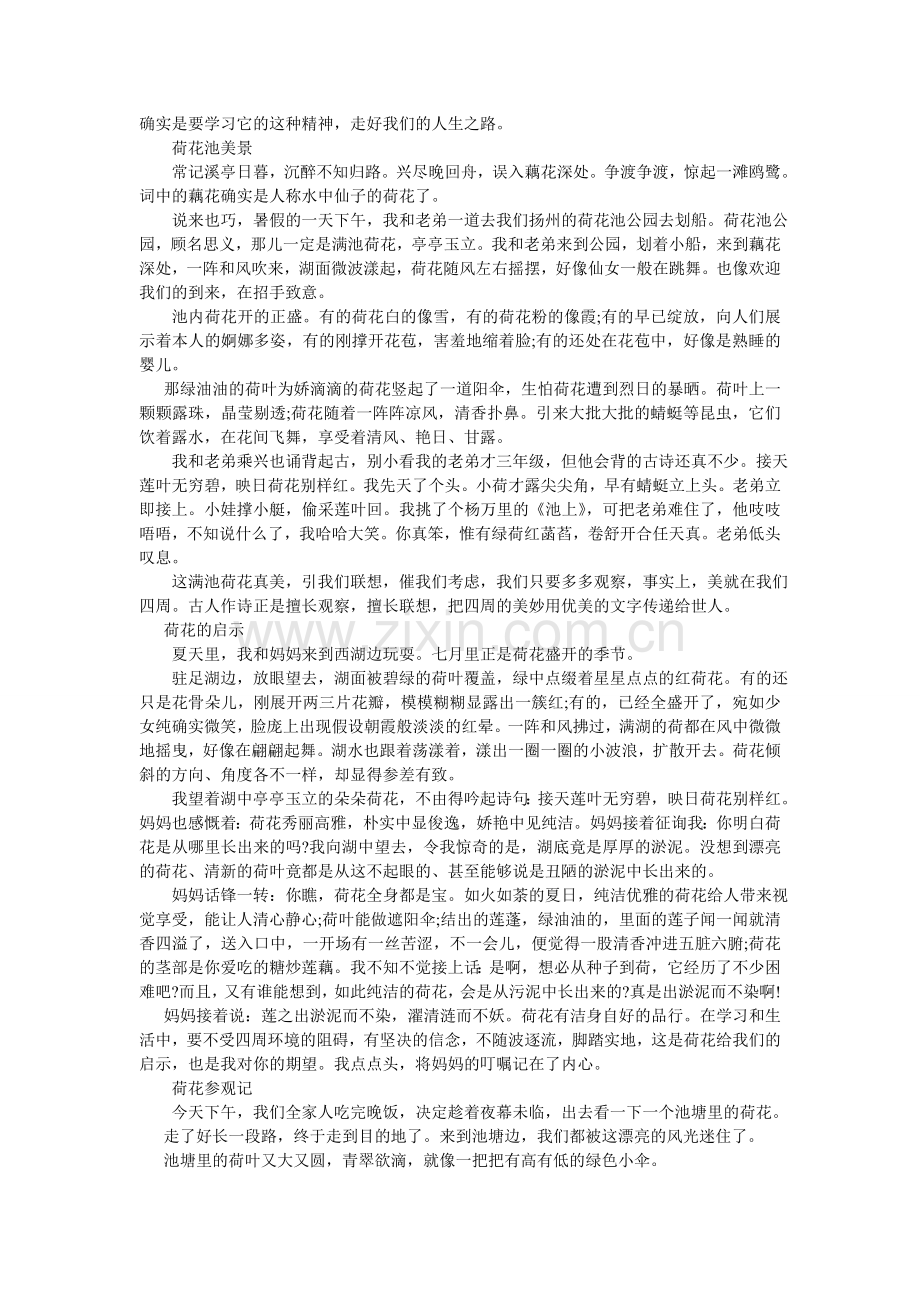 荷花作文1000字.doc_第2页