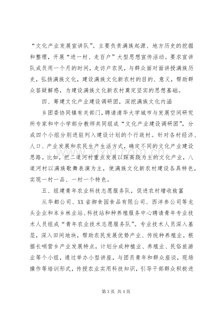 共青团特色活动助推新农村建设经验发言材料致辞.docx_第3页