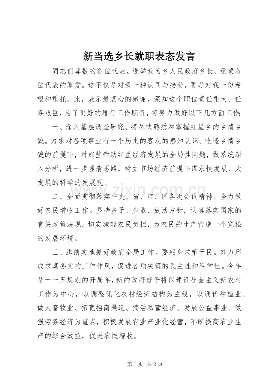 新当选乡长就职表态发言稿.docx_第1页