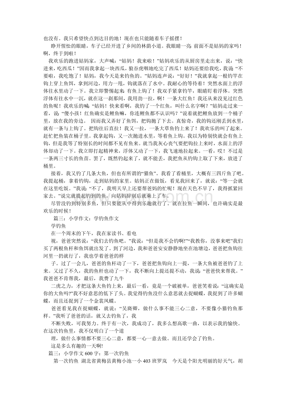 钓鱼的作文600字.doc_第3页