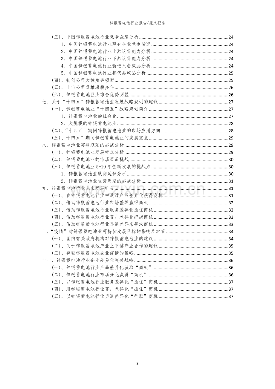 2023年锌银蓄电池行业洞察报告及未来五至十年预测分析报告.docx_第3页