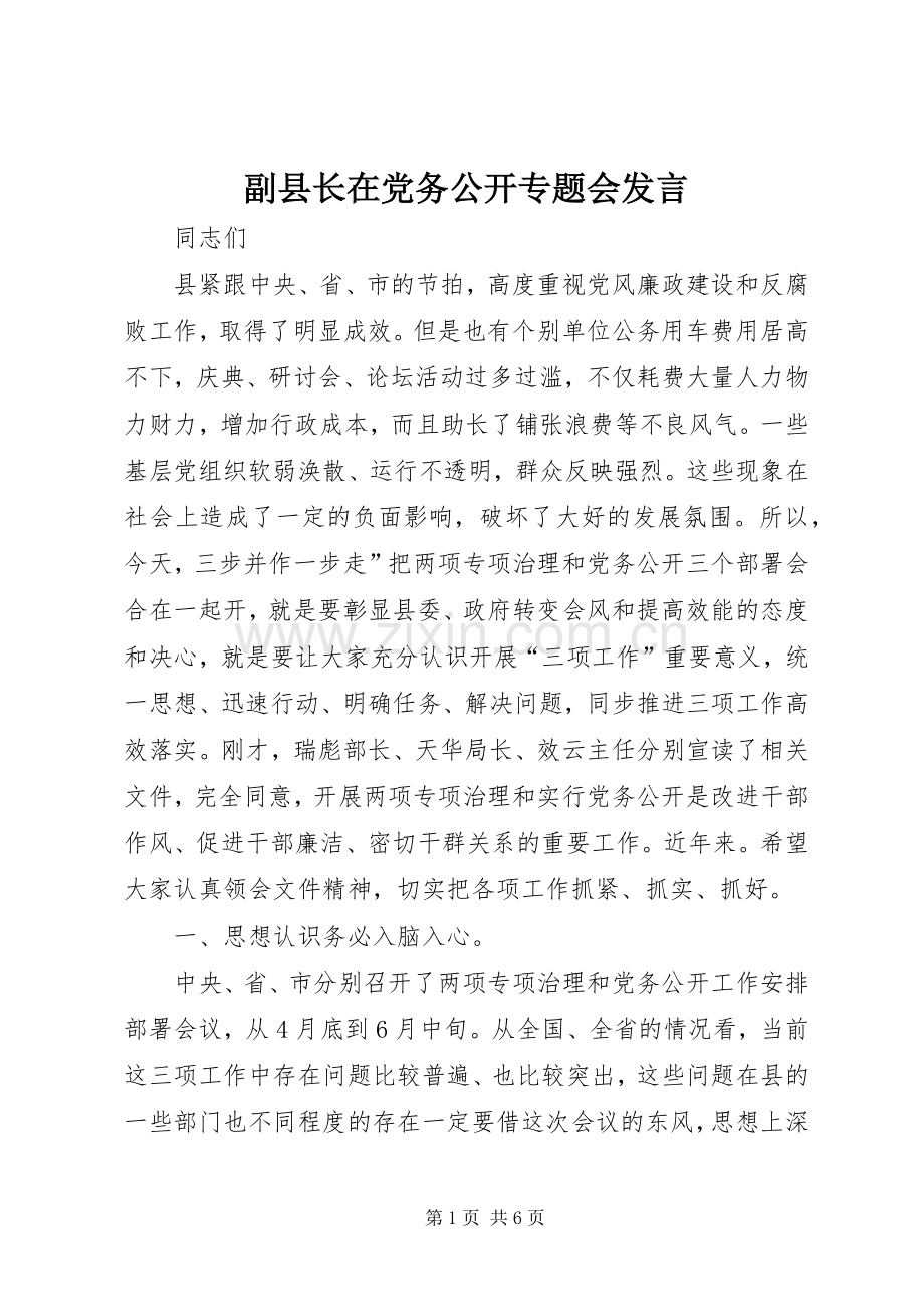 副县长在党务公开专题会发言稿.docx_第1页