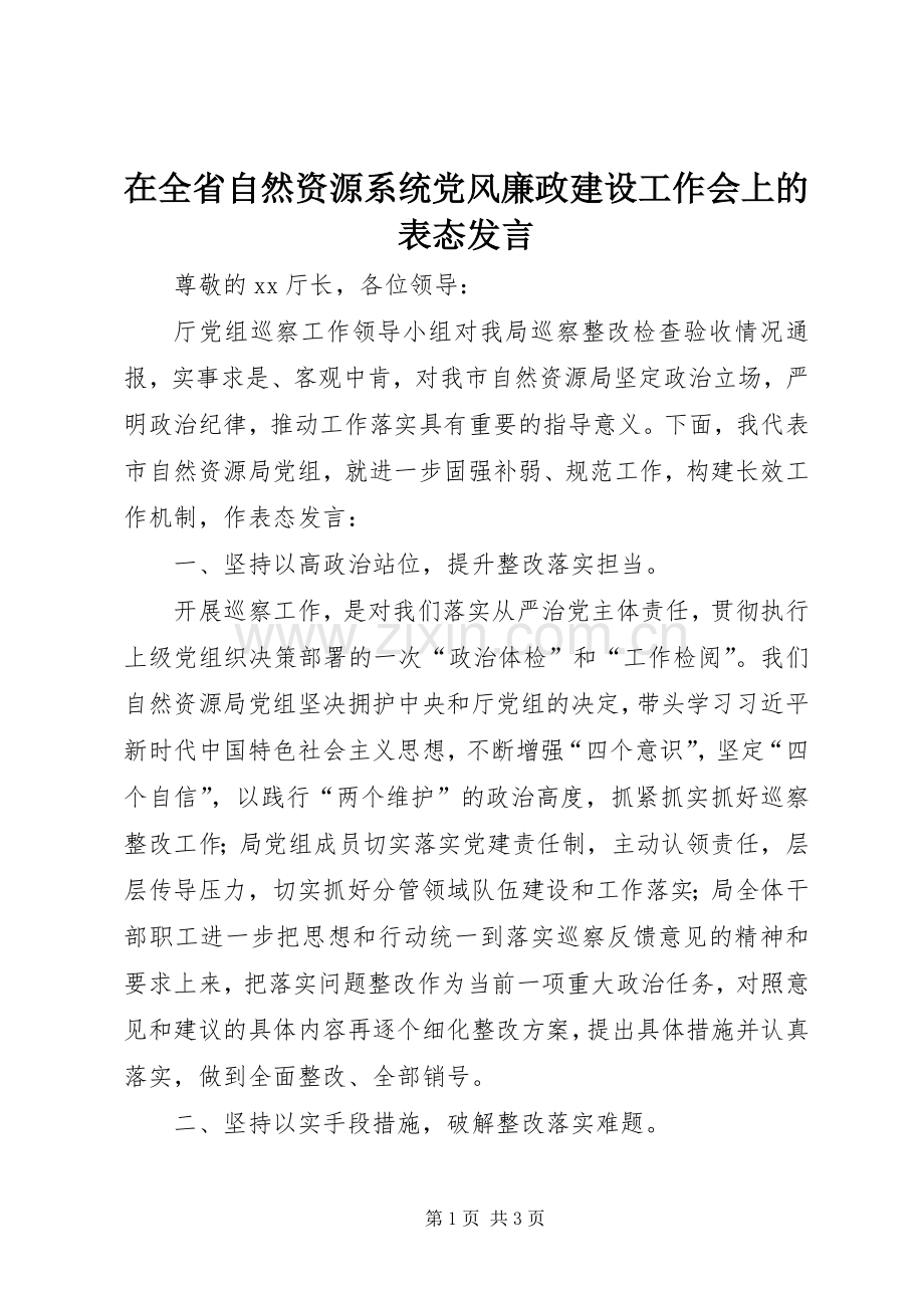 在全省自然资源系统党风廉政建设工作会上的表态发言稿.docx_第1页