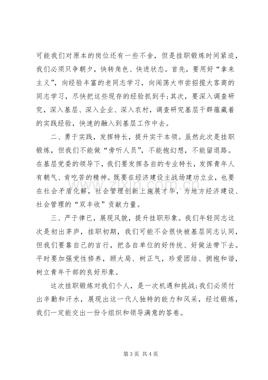 乡镇挂职干部表态发言.docx_第3页