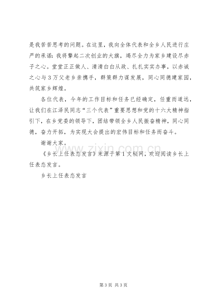 乡长上任表态发言稿.docx_第3页