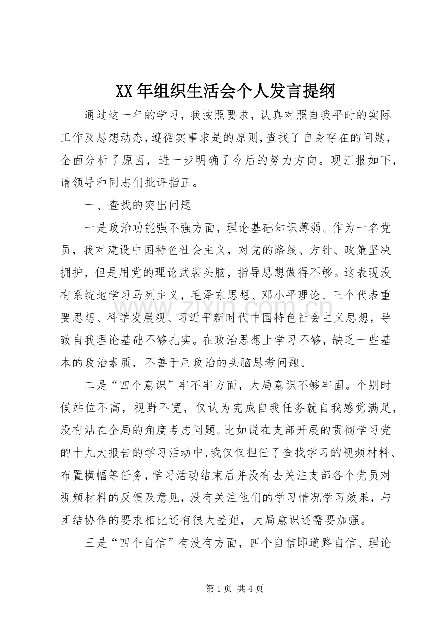 XX年组织生活会个人发言材料 (2).docx_第1页