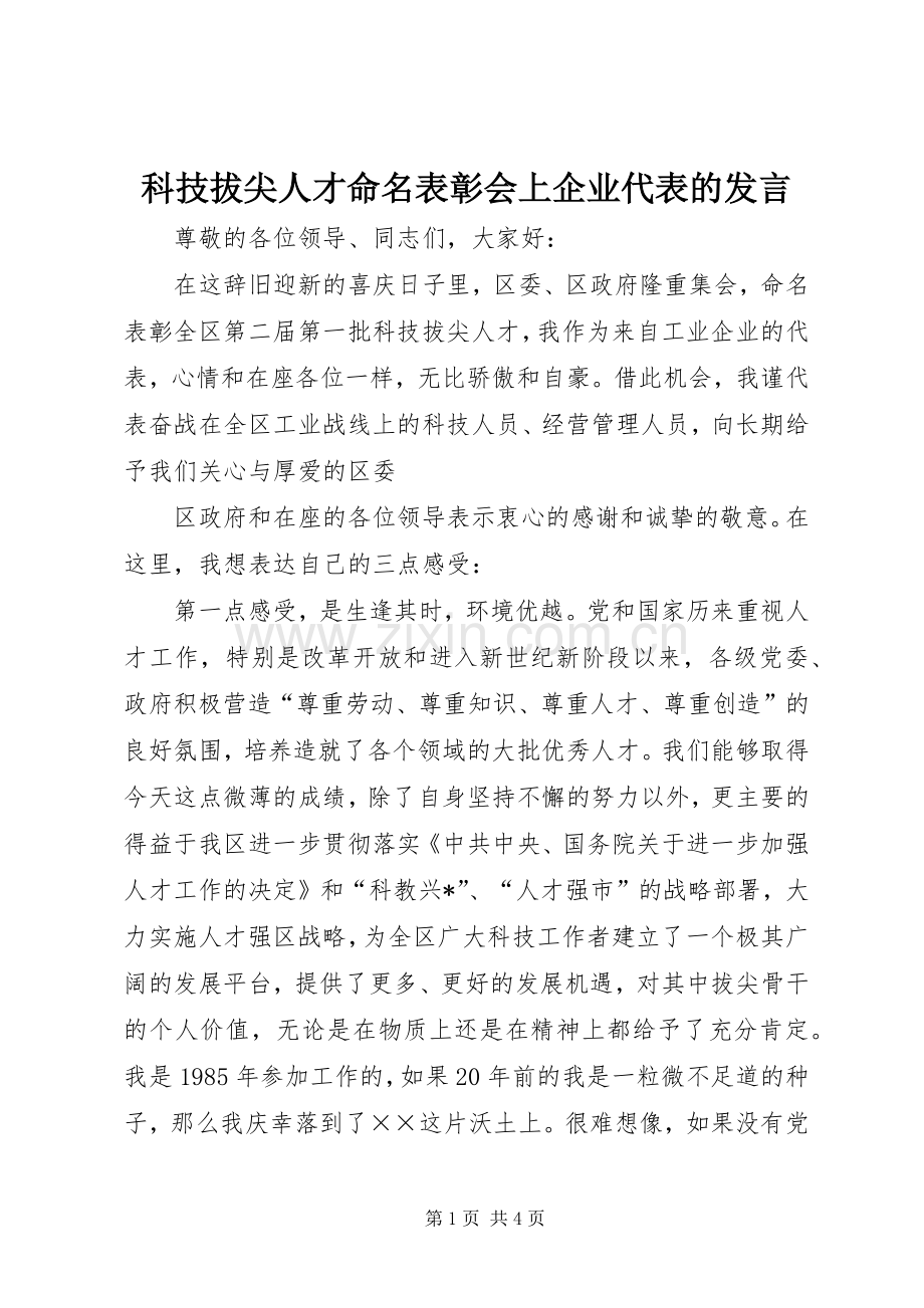 科技拔尖人才命名表彰会上企业代表的发言稿 (2).docx_第1页