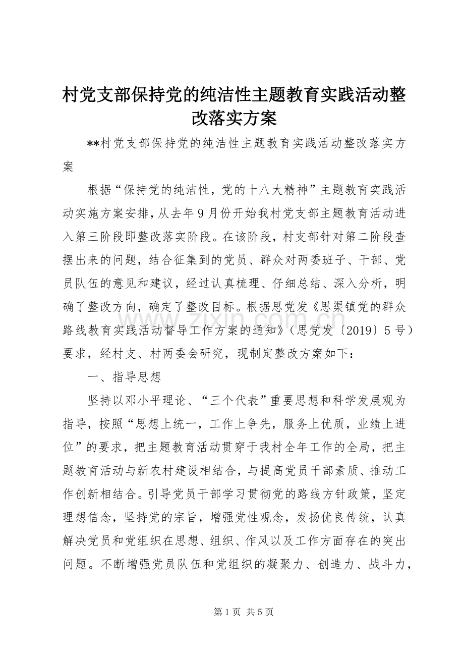 村党支部保持党的纯洁性主题教育实践活动整改落实实施方案 .docx_第1页