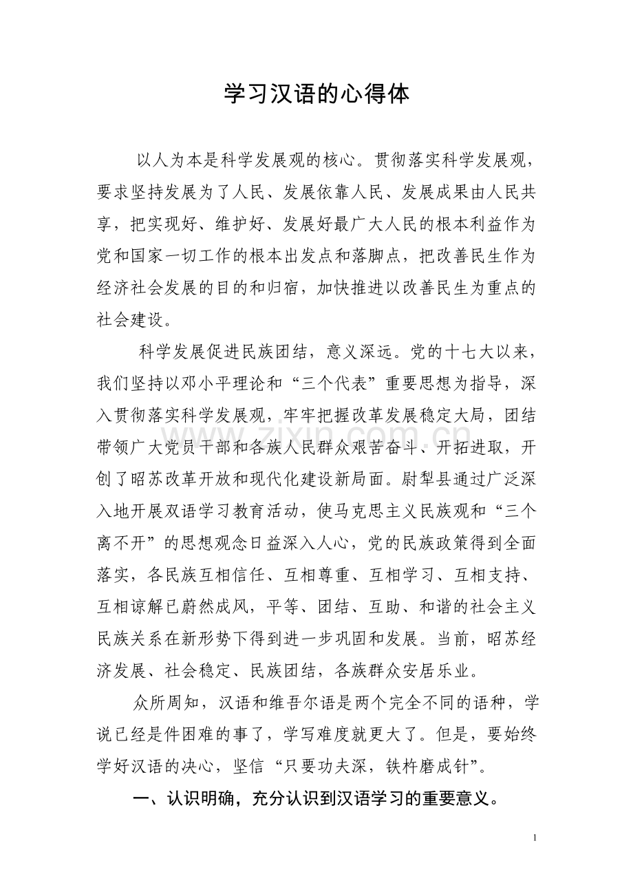 汉语学习心得体会.doc_第1页