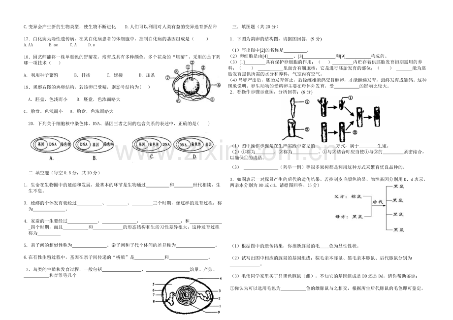 太安八年级生物下册期中测试卷.doc_第2页