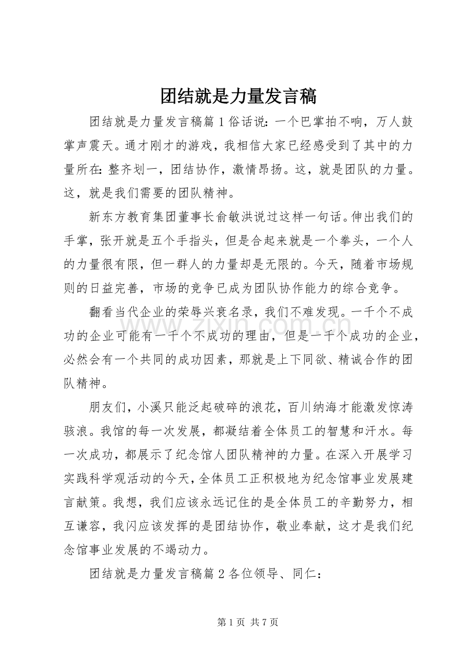 团结就是力量发言.docx_第1页