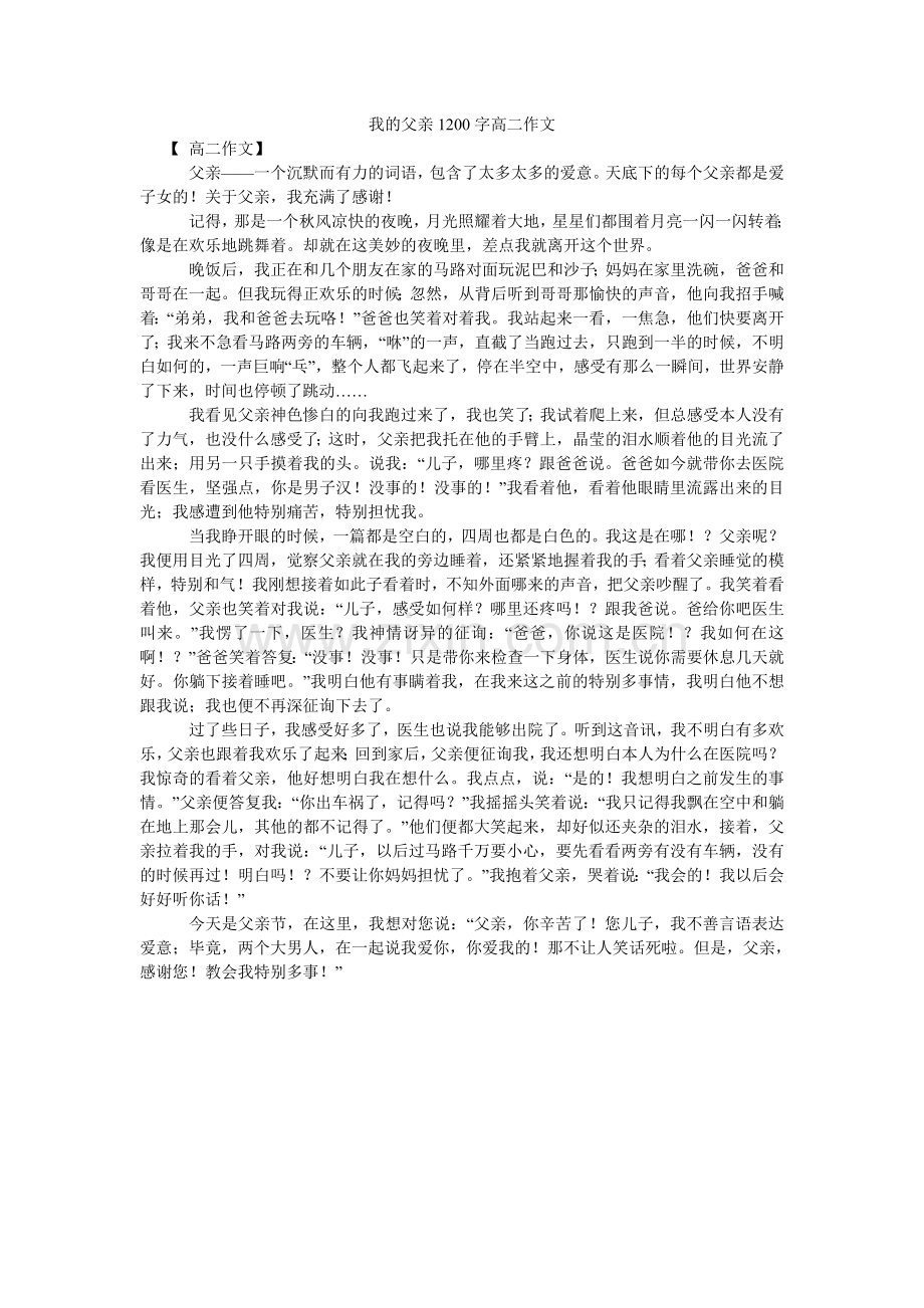 我的父亲1200字高二作文.doc_第1页