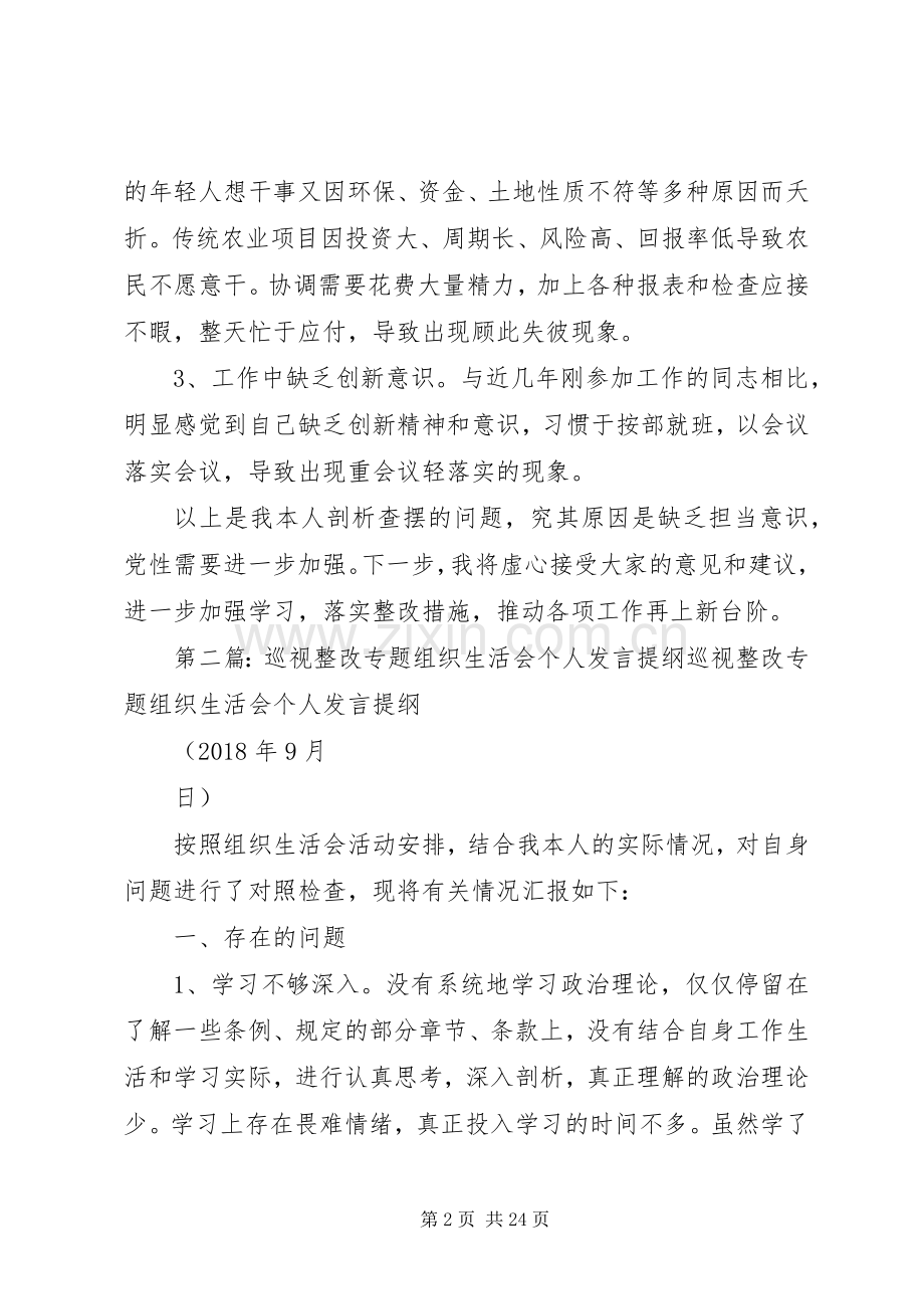 巡视整改专题组织生活会个人发言提纲.docx_第2页