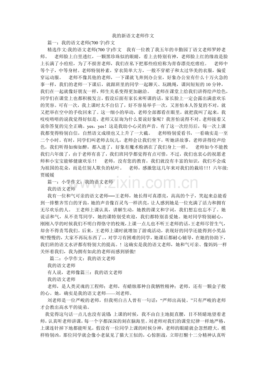 我的新语文老师作文.doc_第1页