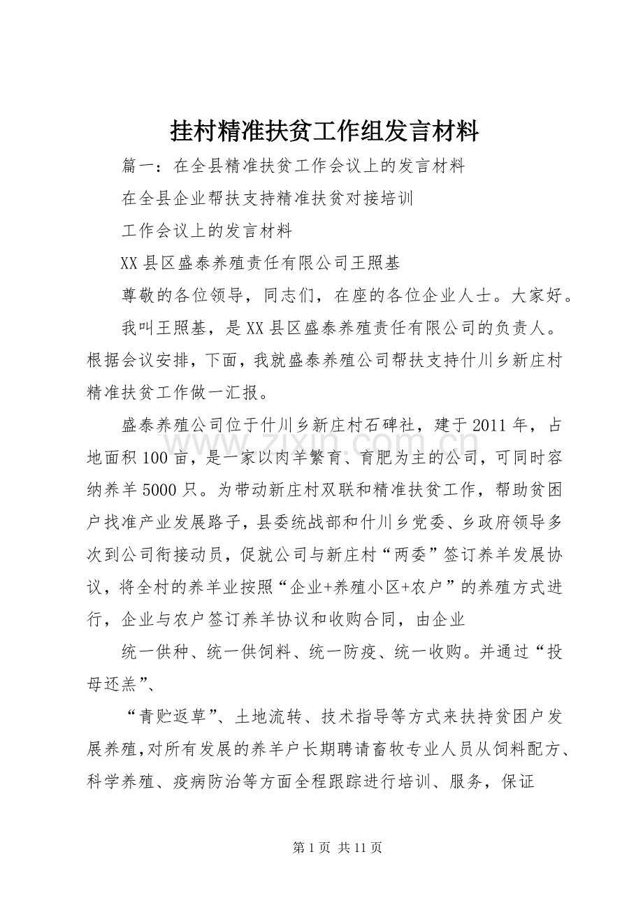 挂村精准扶贫工作组发言材料.docx_第1页