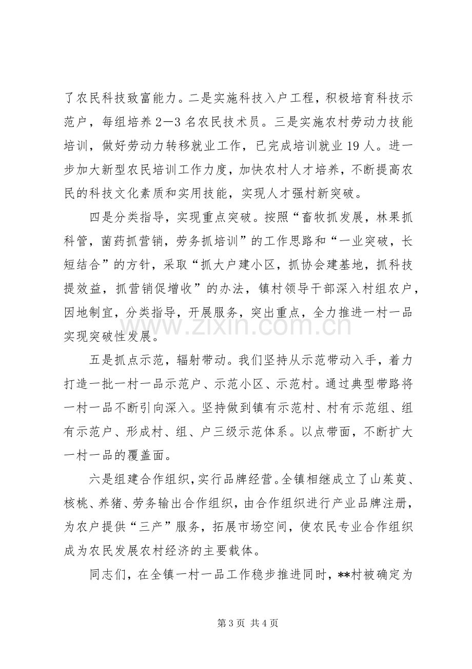 在某村新农村建设暨产业发展动员大会上的讲话.docx_第3页