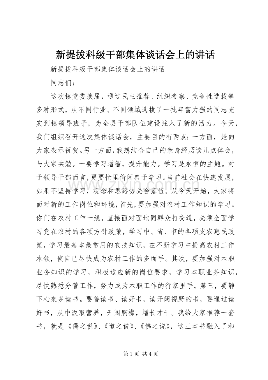 新提拔科级干部集体谈话会上的讲话.docx_第1页