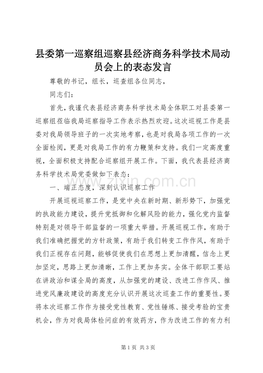 县委第一巡察组巡察县经济商务科学技术局动员会上的表态发言.docx_第1页