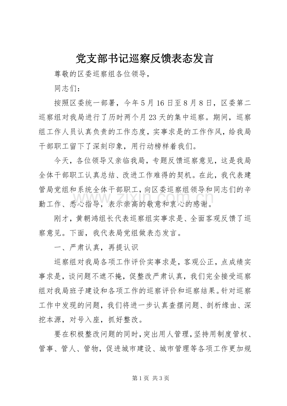 党支部书记巡察反馈表态发言稿.docx_第1页