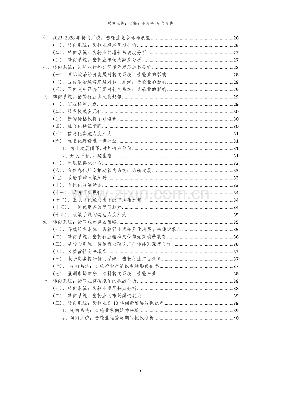 2023年转向系统：齿轮行业洞察报告及未来五至十年预测分析报告.docx_第3页