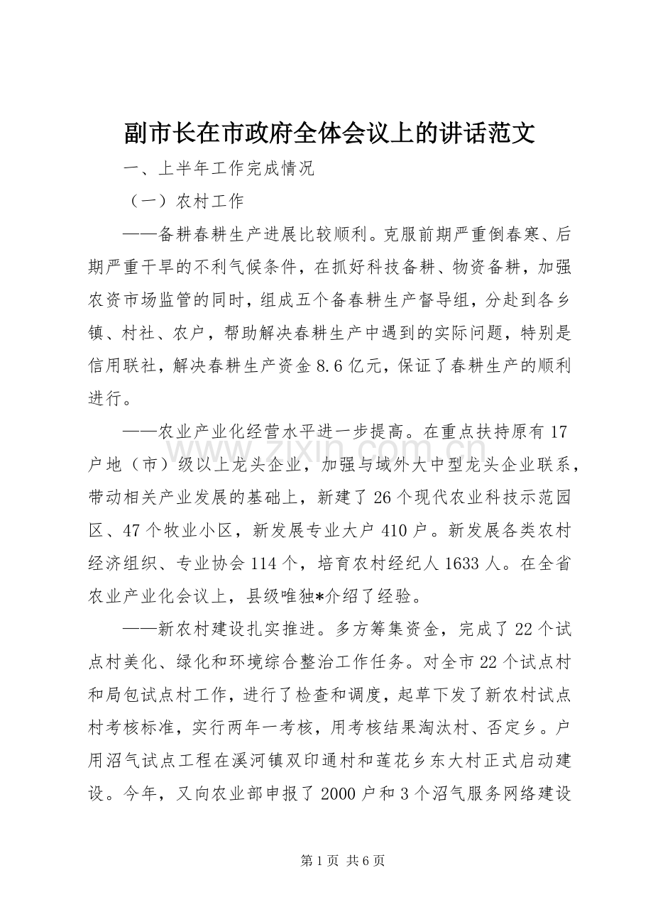 副市长在市政府全体会议上的讲话范文.docx_第1页