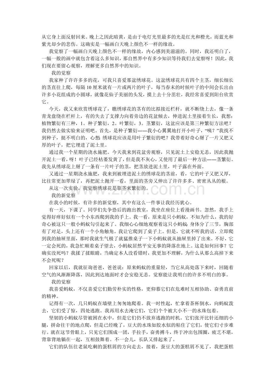 我发现了作文300字.doc_第3页