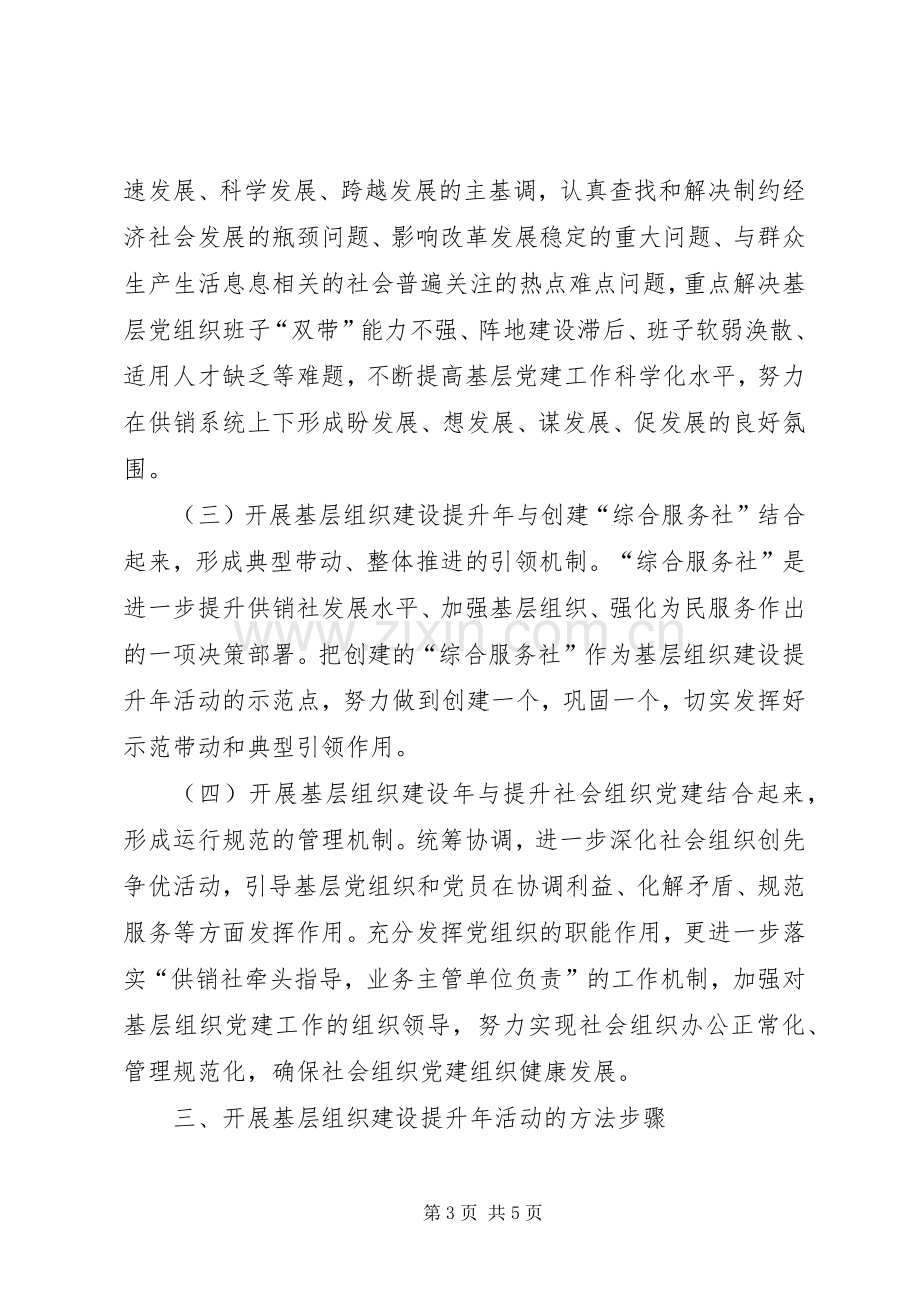 供销社基层组织建设提升年活动实施方案 .docx_第3页