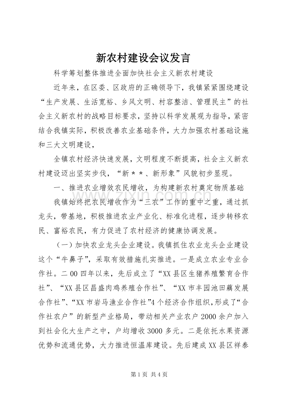 新农村建设会议发言稿.docx_第1页