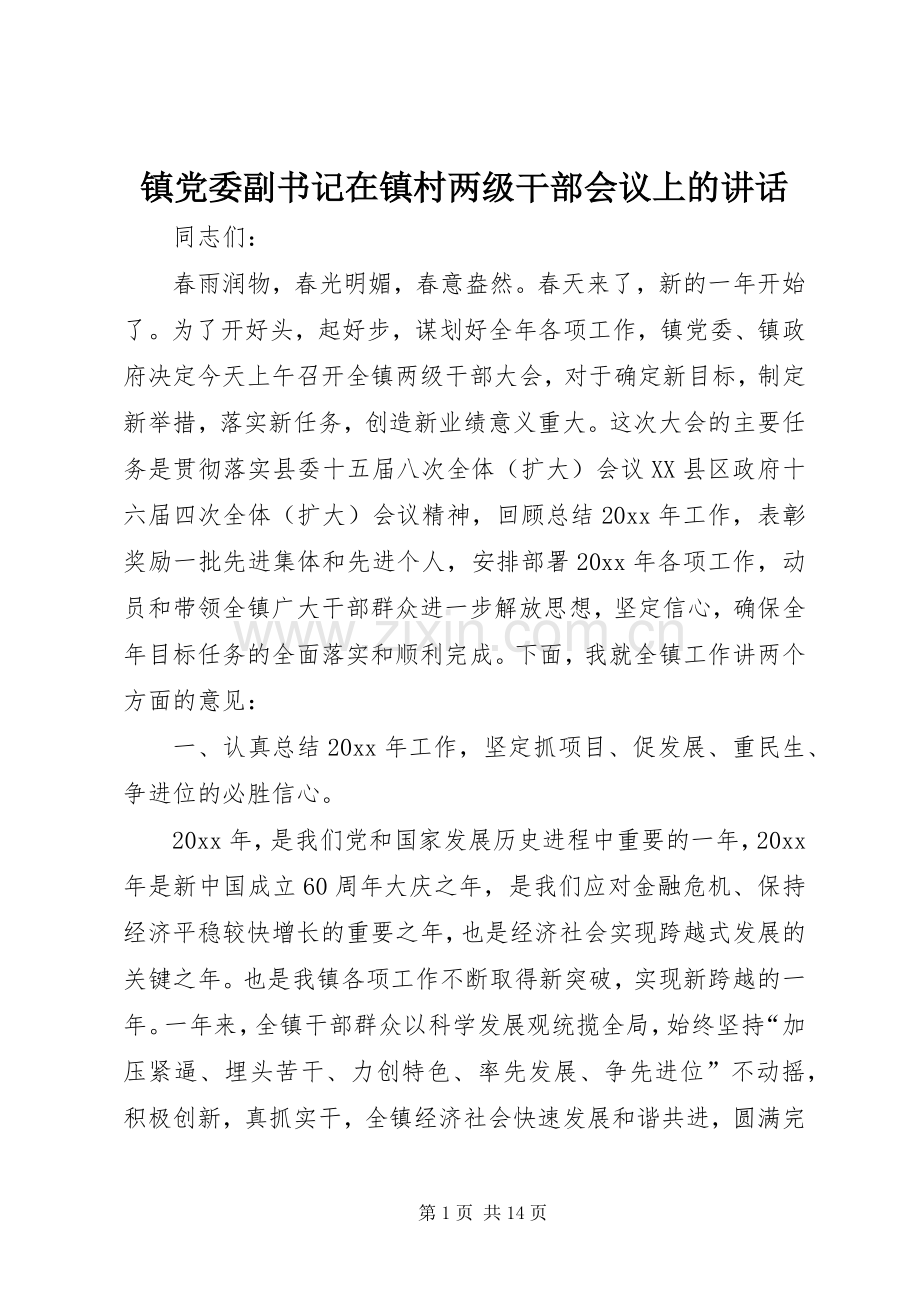 镇党委副书记在镇村两级干部会议上的讲话.docx_第1页