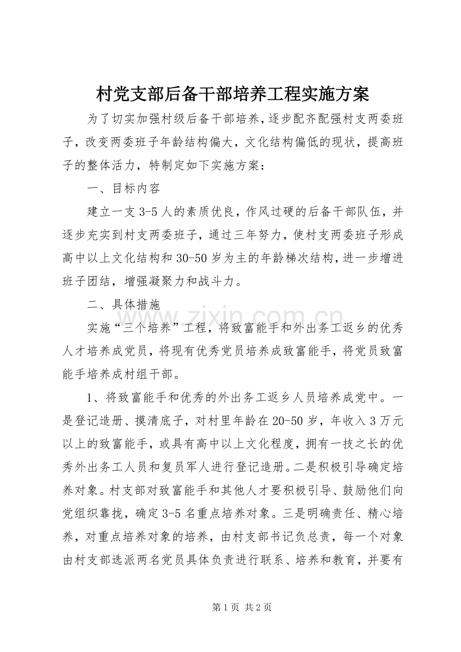 村党支部后备干部培养工程方案 .docx_第1页