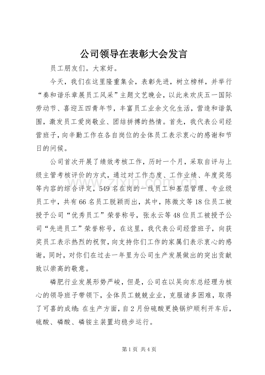 公司领导在表彰大会发言稿.docx_第1页