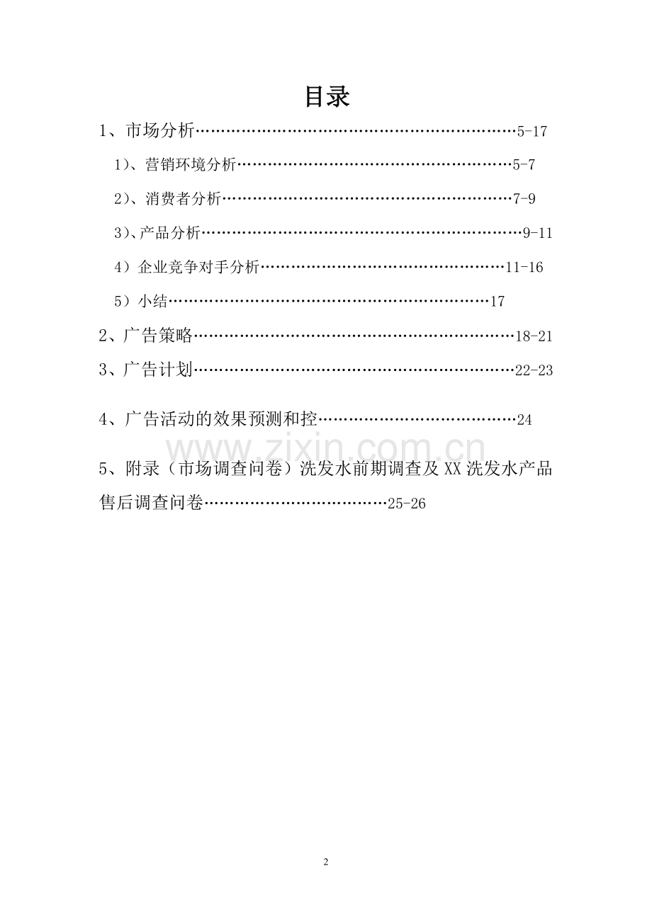 XX洗发水广告策划书.doc_第2页