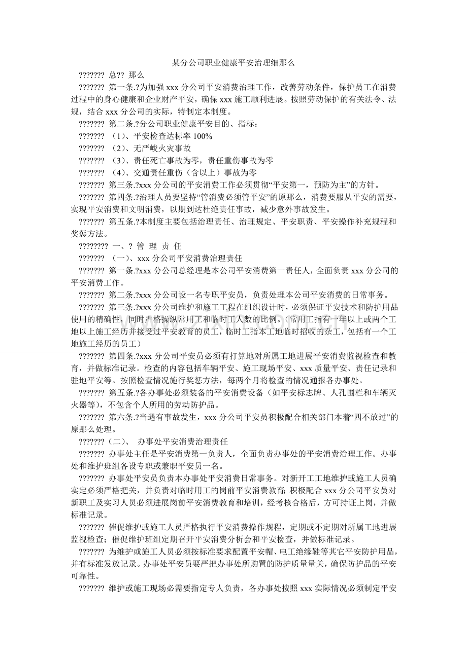 某分公司职业健康安全管理细则.doc_第1页