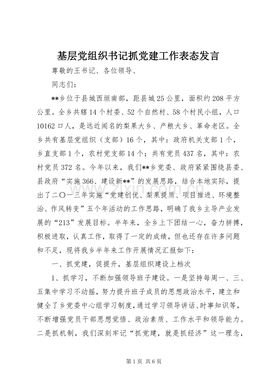 基层党组织书记抓党建工作表态发言稿 (2).docx_第1页