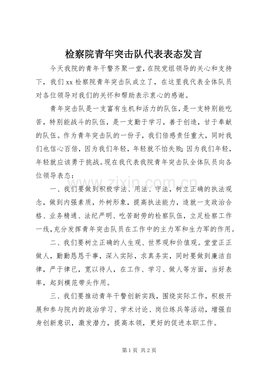 检察院青年突击队代表表态发言稿.docx_第1页