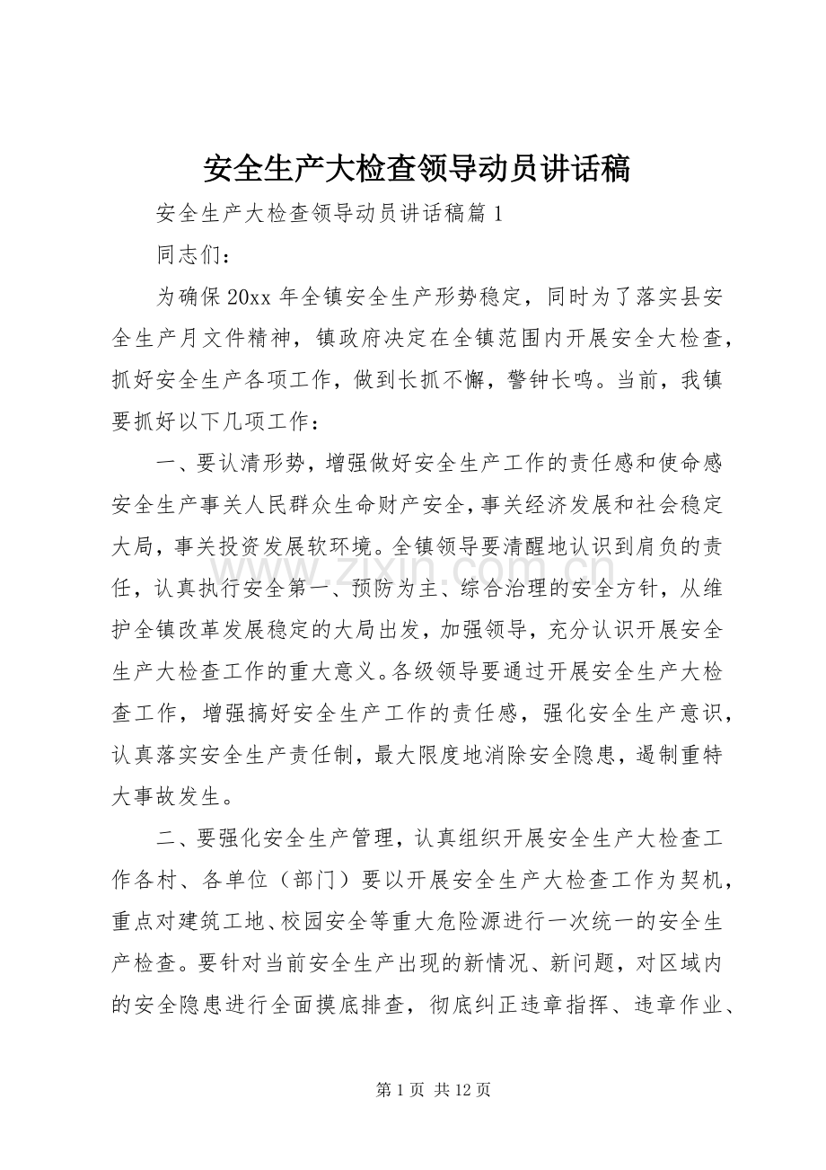 安全生产大检查领导动员讲话稿.docx_第1页