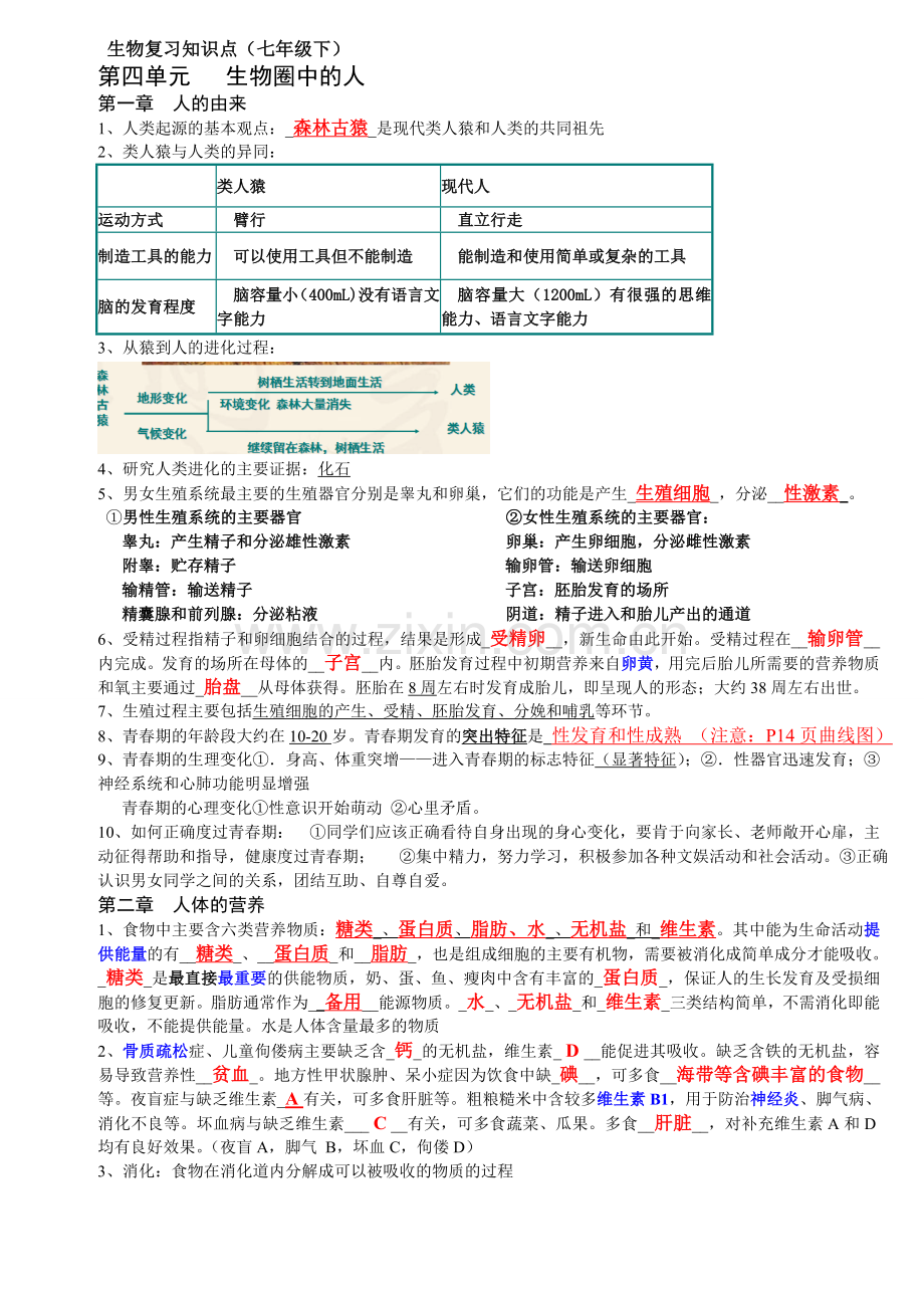 初一下生物复习知识点.doc_第1页