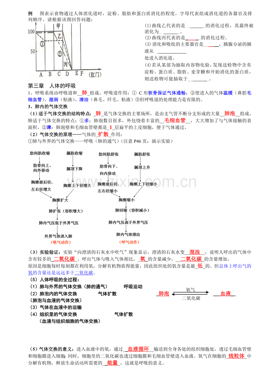 初一下生物复习知识点.doc_第3页