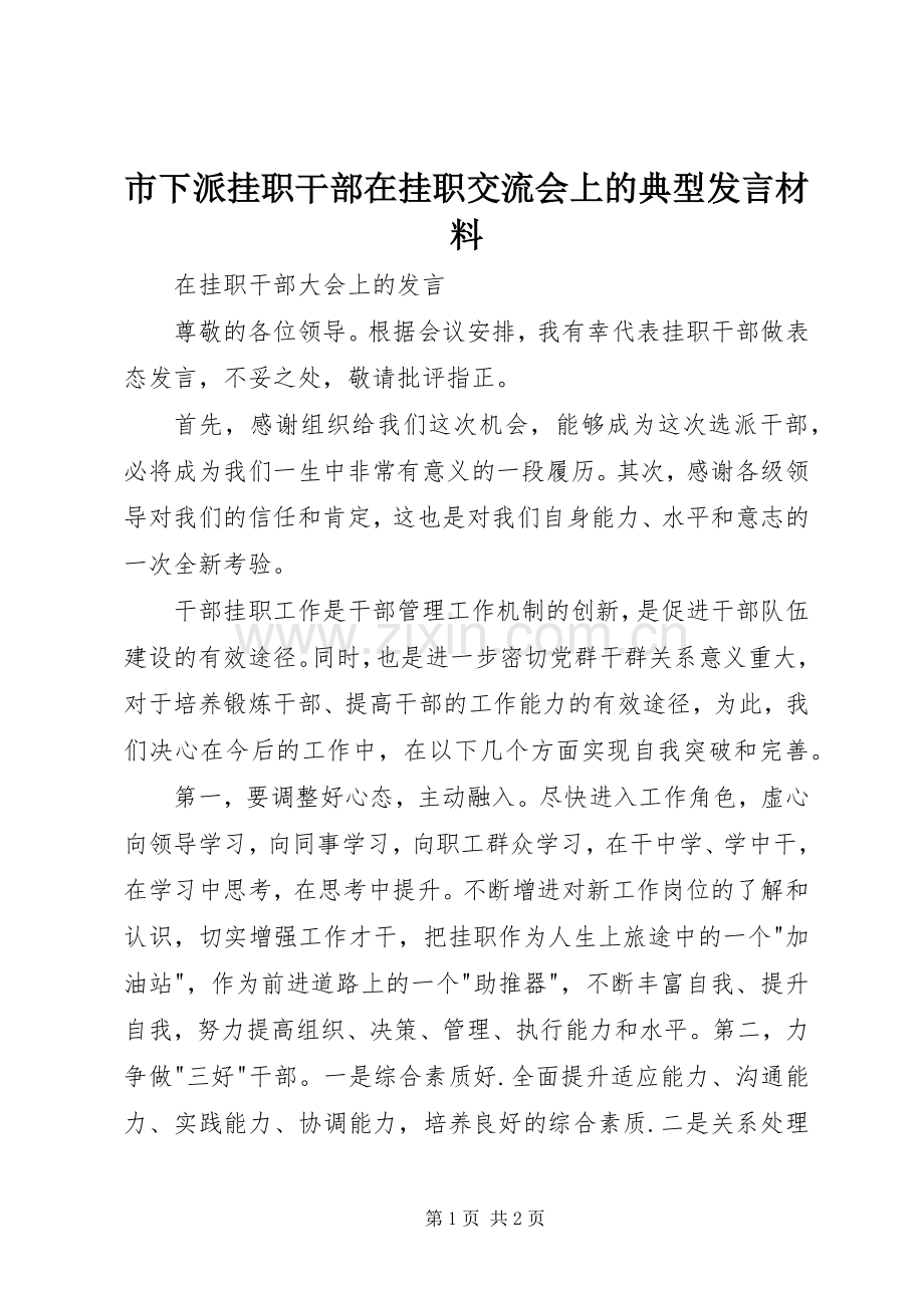 市下派挂职干部在挂职交流会上的典型发言致辞.docx_第1页