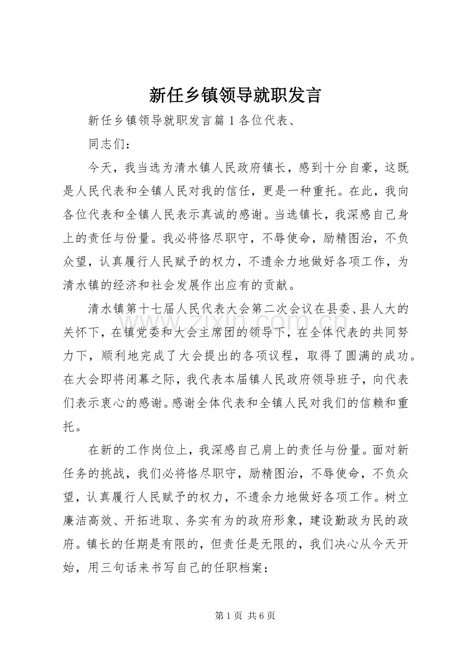 新任乡镇领导就职发言稿.docx_第1页