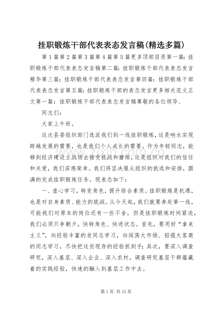 挂职锻炼干部代表表态发言(多篇).docx_第1页