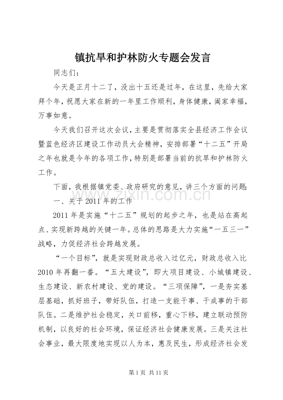 镇抗旱和护林防火专题会发言.docx_第1页