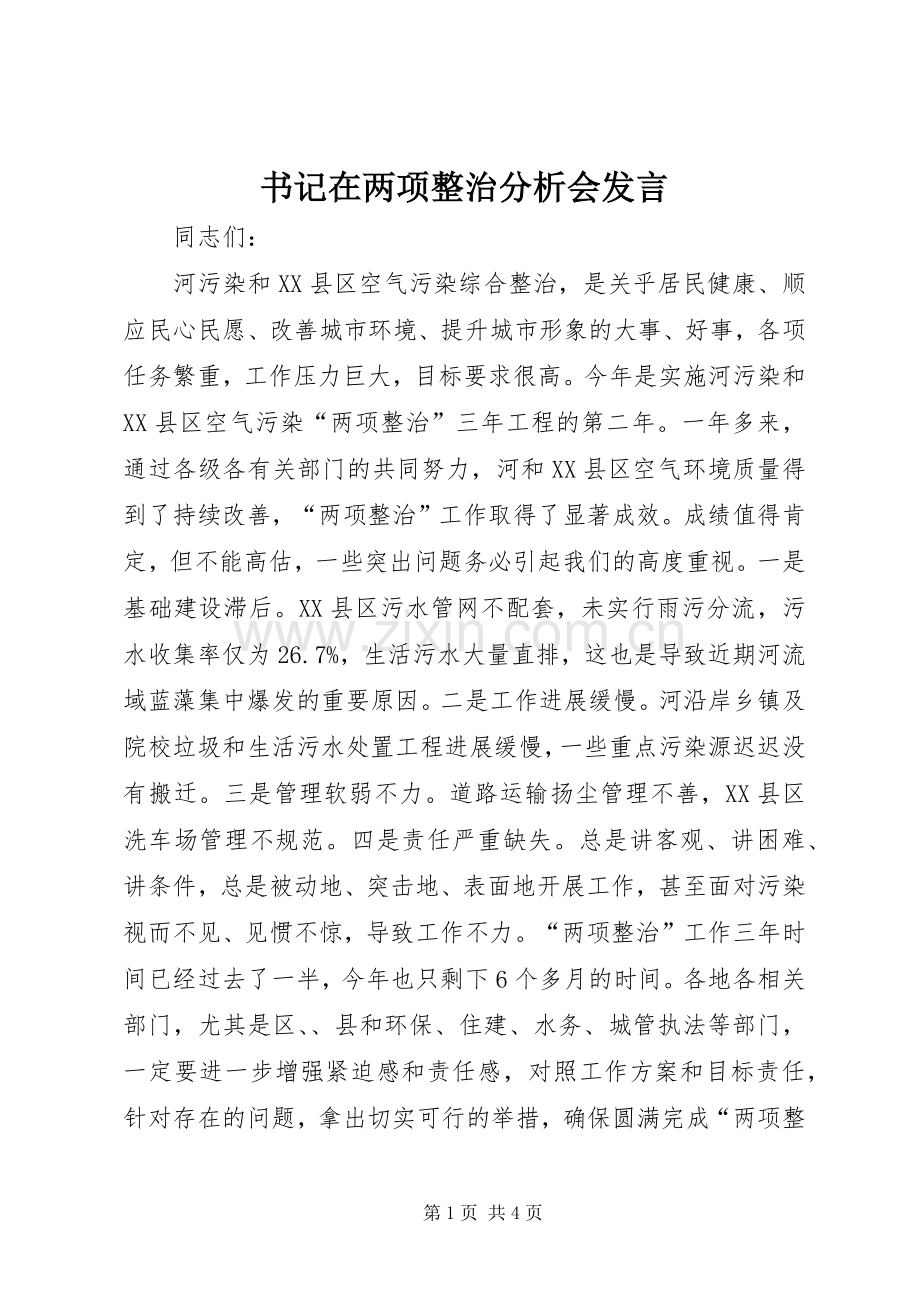 书记在两项整治分析会发言稿.docx_第1页