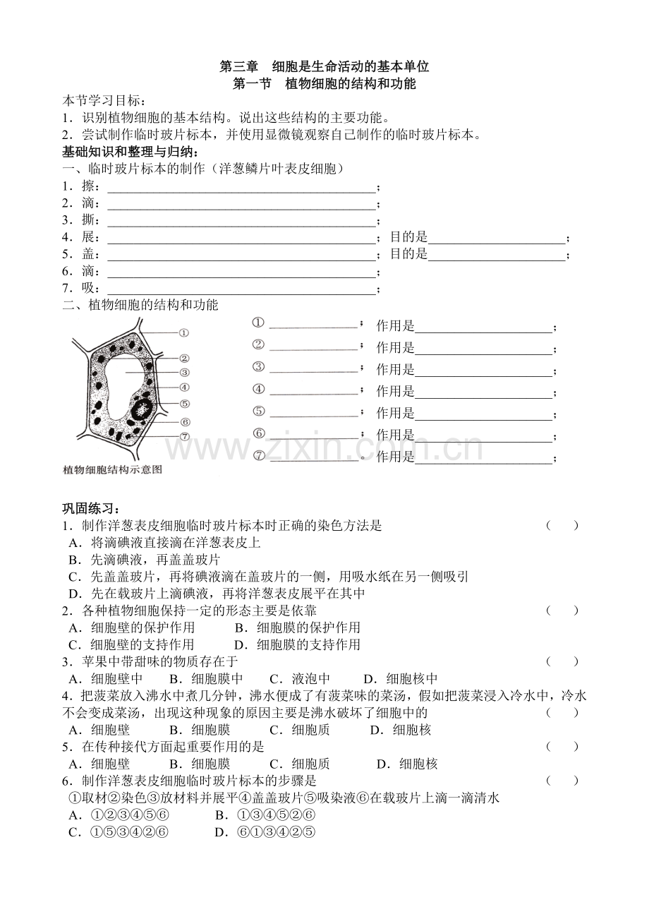 第三章第一节植物细胞的结构和功能.doc_第1页